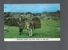 Ane Et Chargement Ireland , Irlande , Eire - Wagengespanne