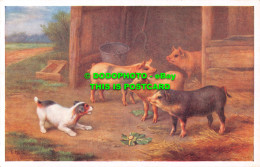 R549222 Dog With Pigs. J. Salmon - Welt