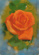 FLOWERS Vintage Ansichtskarte Postkarte CPSM #PAS335.DE - Blumen
