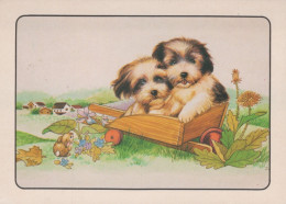 HUND Tier Vintage Ansichtskarte Postkarte CPSM #PAN552.DE - Dogs