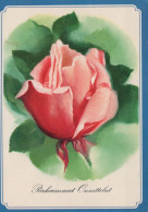 FLORES Vintage Tarjeta Postal CPSM #PAS333.ES - Flowers