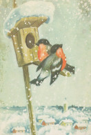 PÁJARO Animales Vintage Tarjeta Postal CPSM #PAM926.ES - Birds