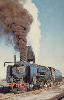 TREN TRANSPORTE Ferroviario Vintage Tarjeta Postal CPSMF #PAA394.ES - Eisenbahnen