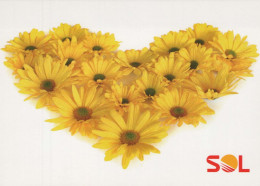 FLOWERS Vintage Ansichtskarte Postkarte CPSM #PBZ622.DE - Blumen