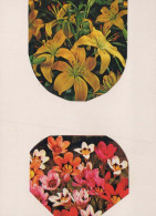 FLEURS Vintage Carte Postale CPSM #PAR312.FR - Bloemen