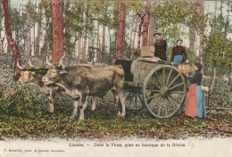 0P 23-(40) DANS LA FORET , MISE EN BARRIQUE DE LA RESINE - ATTELAGE - CARTE COLORISEE - BERNEDE PHOT . ARJUZANX- 2 SCANS - Aquitaine