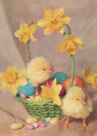 PASCUA POLLO HUEVO Vintage Tarjeta Postal CPSM #PBO667.ES - Easter