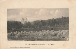 CASTELJALOUX : LE PLANTEY - Casteljaloux