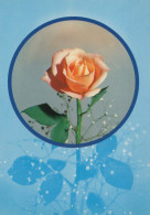 FLOWERS Vintage Postcard CPSM #PAS332.GB - Flowers