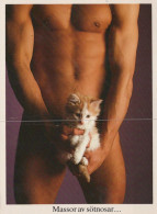 GATTO KITTY Animale Vintage Cartolina CPSM #PAM176.IT - Cats