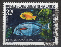 Nvelle CALEDONIE Timbre-Poste Aérienne N°145 Oblitéré Cote : 3€00 - Usati