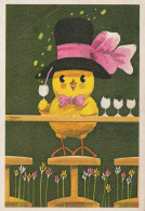 BIRD Animals Vintage Postcard CPSM #PBR614.GB - Vogels