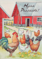 EASTER CHICKEN EGG Vintage Postcard CPSM #PBO789.GB - Pâques