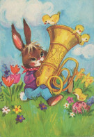 EASTER RABBIT Vintage Postcard CPSM #PBO476.GB - Pascua