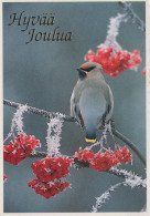 Happy New Year Christmas BIRD Vintage Postcard CPSM #PAW416.GB - Nieuwjaar
