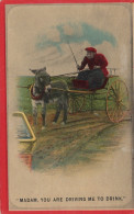ASINO Animale Vintage CPA Cartolina #PAA244.IT - Asino