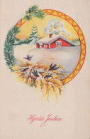 Buon Anno Natale Vintage Cartolina CPSMPF #PKG544.IT - Nieuwjaar