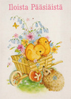 PASQUA POLLO Vintage Cartolina CPSM #PBO983.IT - Pâques