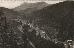 PE 5-(15) LE LIORAN - VUE D' ENSEMBLE - AU FOND , LE PUY GRIOU - 2 SCANS - Sonstige & Ohne Zuordnung