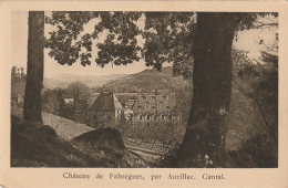 PE 5-(15) CHATEAU DE FABREGUES , PAR AURILLAC - 2 SCANS - Sonstige & Ohne Zuordnung