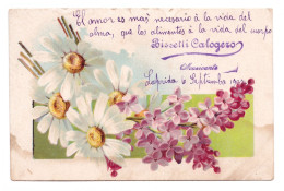 MOTIVO FLORAL // 1907 - Other & Unclassified