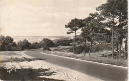 PE 11-(17) LE CLAPET PLAGE - BAIE DE BONNE ANSE , LE REQUIN - 2 SCANS  - Other & Unclassified