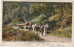 PE 18 -" A FOREST GIANT' S FUNERAL "- ATTELAGE DE CHEVAUX - TRANSPORT D' UN ARBRE  (1905) - 2 SCANS - Paysans