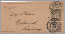 FRANCE To LUXEMBOURG 1890 Incoming Uprated 1c Wrapper To ECHTERNACH - P.P. Imprimé Postmark - Interi Postali