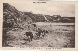 PE 22 -(22) SAINT JACUT DE LA MER - LA PECHE DANS LES ROCHERS  - 2 SCANS - Saint-Jacut-de-la-Mer