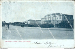 Bf205 Cartolina Livorno Citta' Casini E Viale Dell'ardenza - Livorno