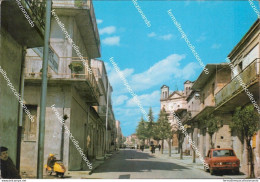 Cd674 Cartolina San Calogero Via Del Riposo Provincia Di Catanzaro Calabria - Catanzaro