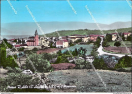 Cd671 Cartolina Masse D'albe Panorama Provincia Di L'aquila Abruzzo - L'Aquila