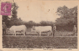 PE 24 -(23) TYPES CREUSOIS - SCENE DE LABOUR - PAYSANS AVEC ATTELAGE - ARAIRE - 2 SCANS - Culture