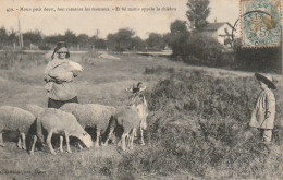 PE 24 -(23) " MOUN PETIT DEURT ... LO CHIEBRO " - TROUPEAU DE MOUTONS ET JEUNE BERGER - 2 SCANS - Allevamenti