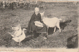 PE 24 -(23) TYPE DE VIEILLE CREUSOISE - GARDEUSE D' OIES - CHEVRE - 2 SCANS - Viehzucht