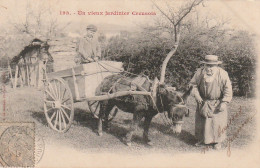 PE 24 -(23)  UN VIEUX JARDINIER CREUSOIS - ATTELAGE - CARRIOLE AVEC ANE - 2 SCANS  - Cultivation