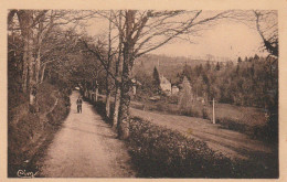 PE 24 -(23) BOURGANEUF - VERGER SOUS BOIS  - 2 SCANS  - Bourganeuf