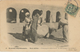 Mehari Troupes Sahariennes Sahara Beni Abbès Marquage Chameau Fer Rouge Red Hot Branding Camel - Regimientos