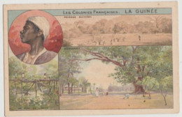CPA-Divisée-LES COLONIES FRANCAISES - LA GUINÉE - Paysage Guinéen - KONAKRY -Circulée-pour La France -1905 - Guinea