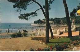 OP Nw32-(17) VAUX NAUZAN - LA PLAGE A TRAVERS LES PINS - 2 SCANS - Vaux-sur-Mer