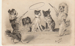 OP Nw36- CHIENS , CHIOTS JOUANT AU CERCEAU - ILLUSTRATEUR - CARTE GAUFREE - Dogs