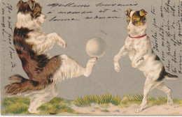 OP Nw36- CHIENS , CHIOTS JOUANT AU FOOTBALL - ILLUSTRATEUR - CARTE GAUFREE - Chiens