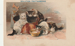 OP Nw36- TRIO DE  CHATONS AVEC BASSINE EN CUIVRE ET BOL DE LAIT - ILLUSTRATEUR - CARTE PUBLICITAIRE SOLUTION PAUTAUBERGE - Chats