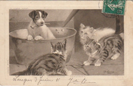 OP Nw36- TRIO DE CHATONS ET CHIOT AVEC OS - ILLUSTRATEUR COBBE - Other & Unclassified