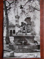 ALGÉRIE - SÉTIF - La Fontaine Monumentale Et La Mosquée. (CPSM) - Setif