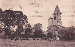 MO 28-(12) CEIGNAC - L'EGLISE - TROUPEAU DE VACHES AUX PATURAGES ET CHEVAUX - Sonstige & Ohne Zuordnung