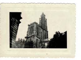 Ref 1 - Photo :  Strasbourg La Cathédrale , Alsace  - France . - Europa