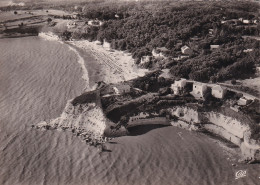 NE 28-(17) MESCHERS - PLAGE DES NONNES  ET LA CONCHE DES CADETS - VUE  AERIENNE - Meschers