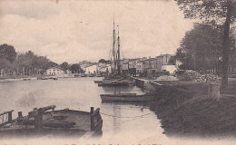 NE 28-(17) SAUJON - LE PORT DE RIBEROU - Saujon