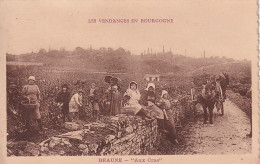 OP 42-(21) LES VENDANGES EN BOURGOGNE - BEAUNE - " AUX CRAS " - ANIMATION - VENDANGEURS , ATTELAGE - Beaune